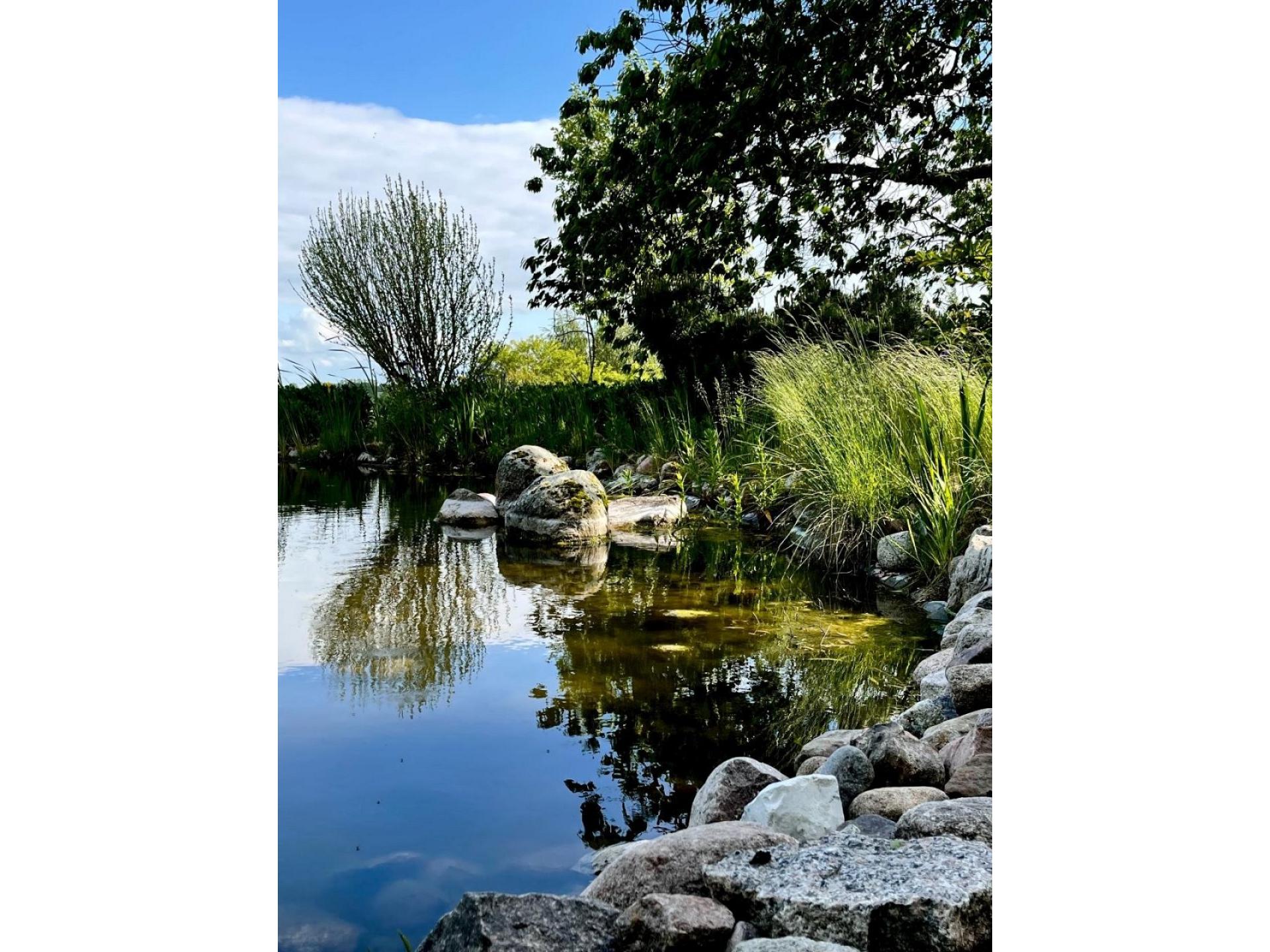 Heide Foto 17