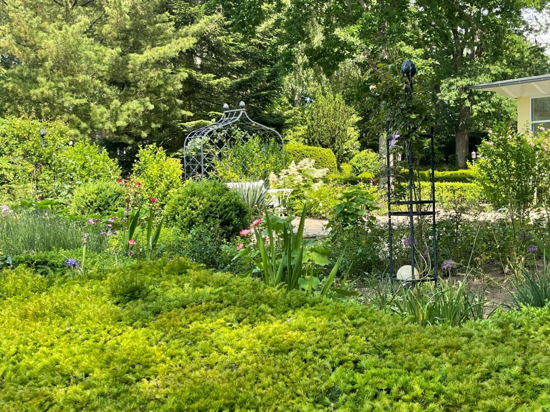 Heide Foto 19