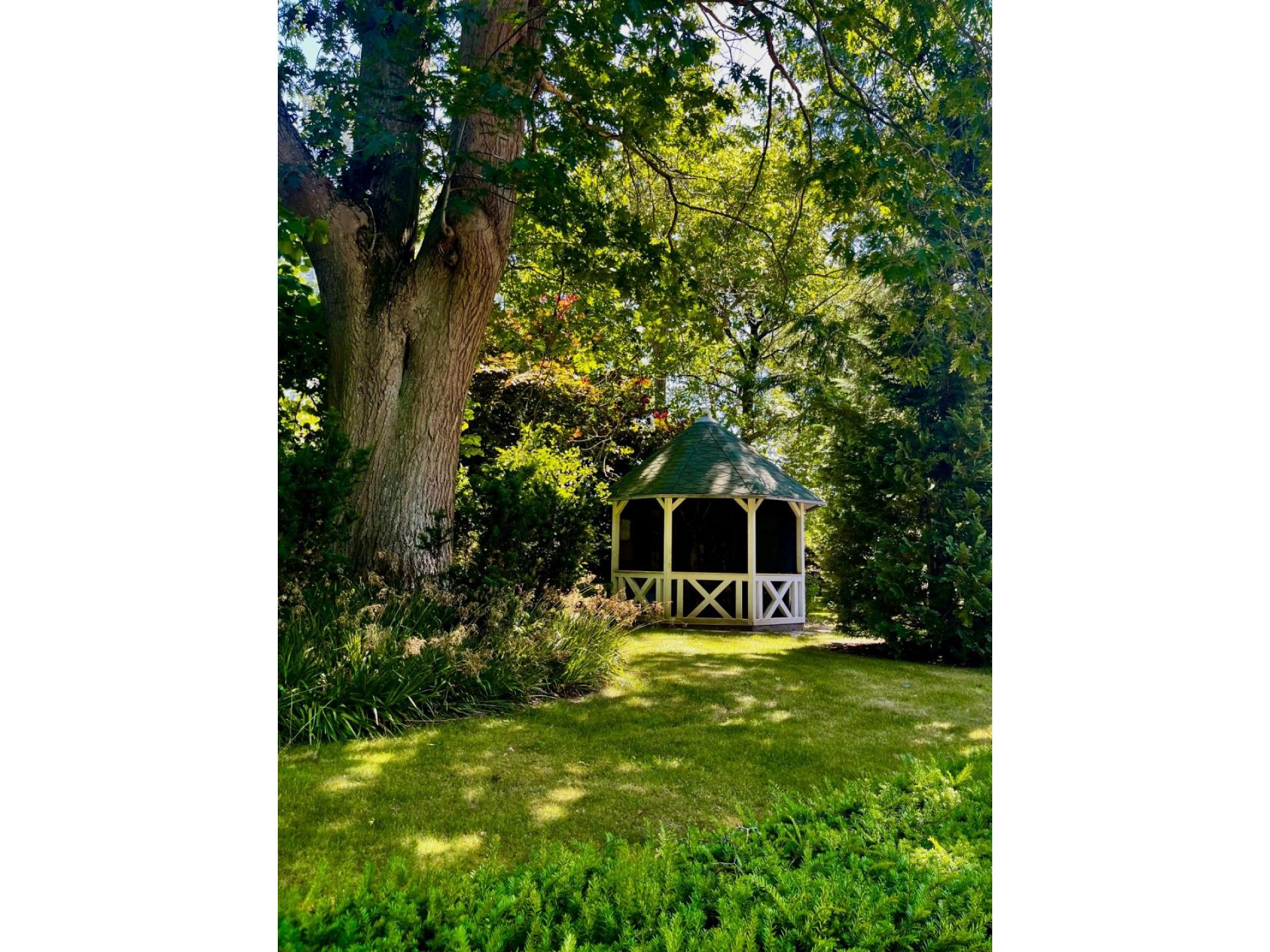 Heide Foto 21