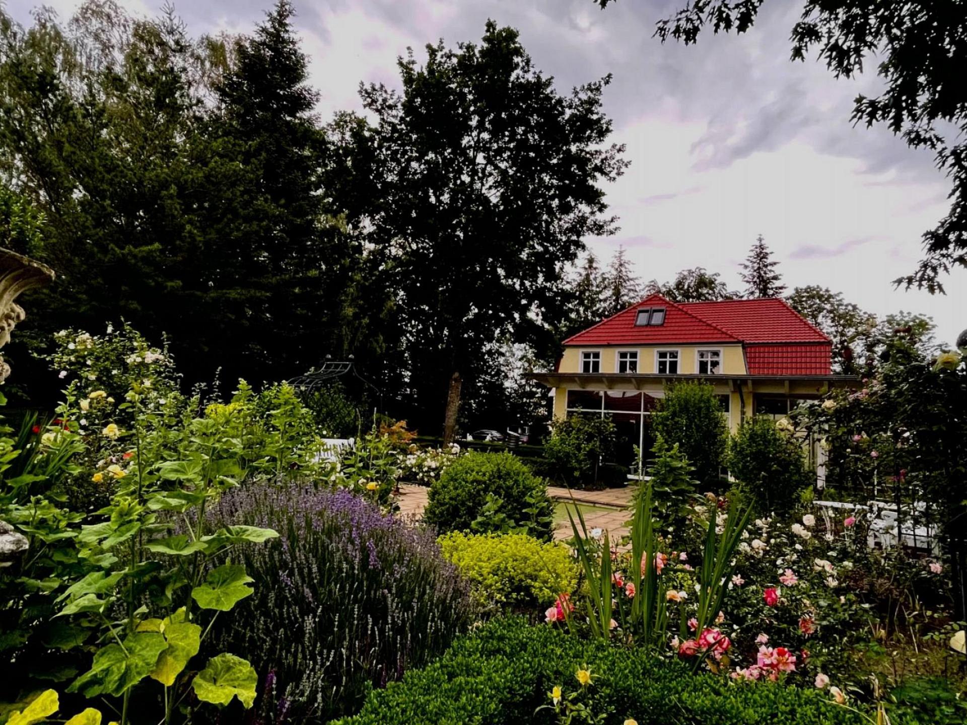 Heide Foto 22