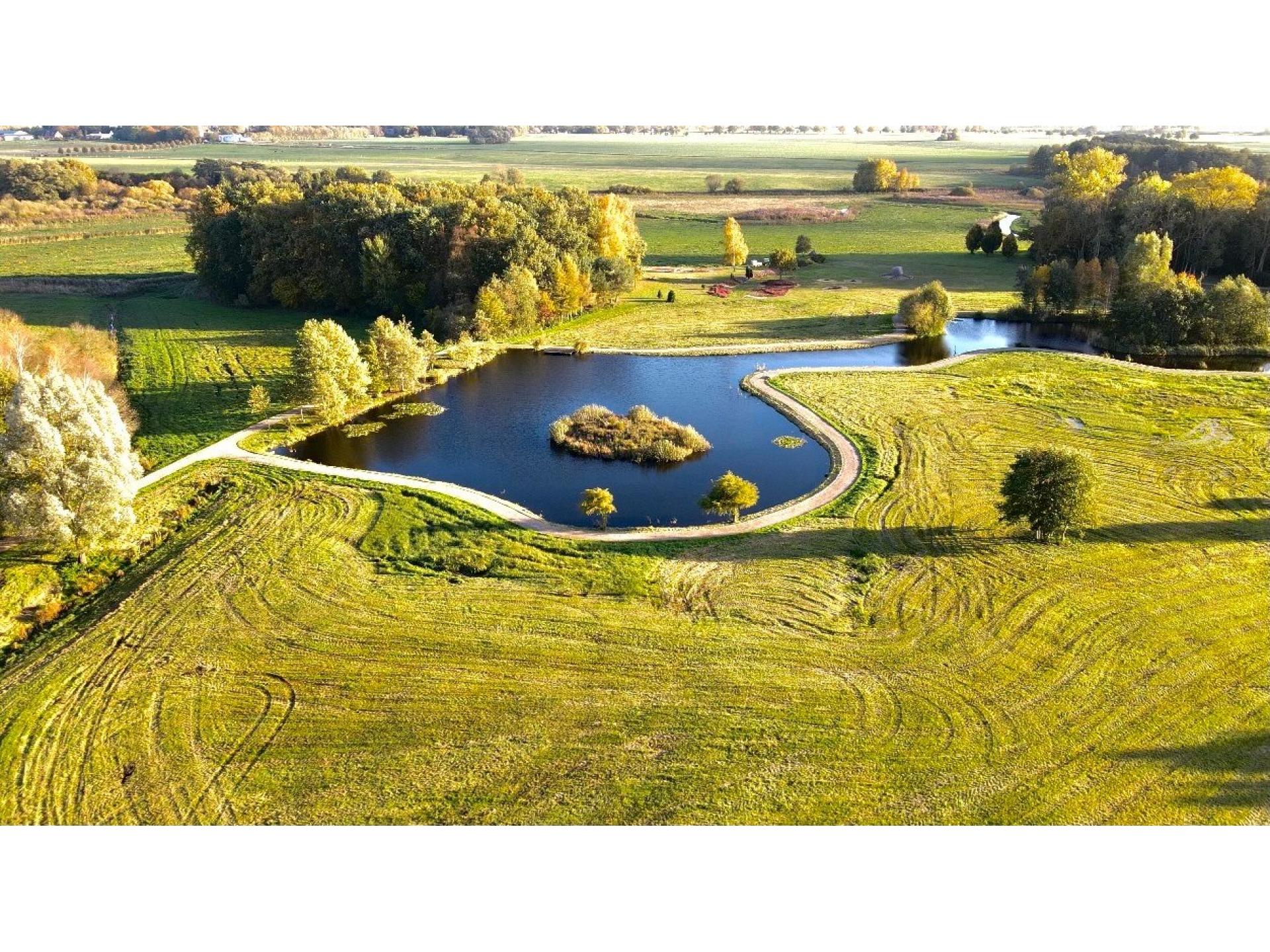 Heide Foto 24