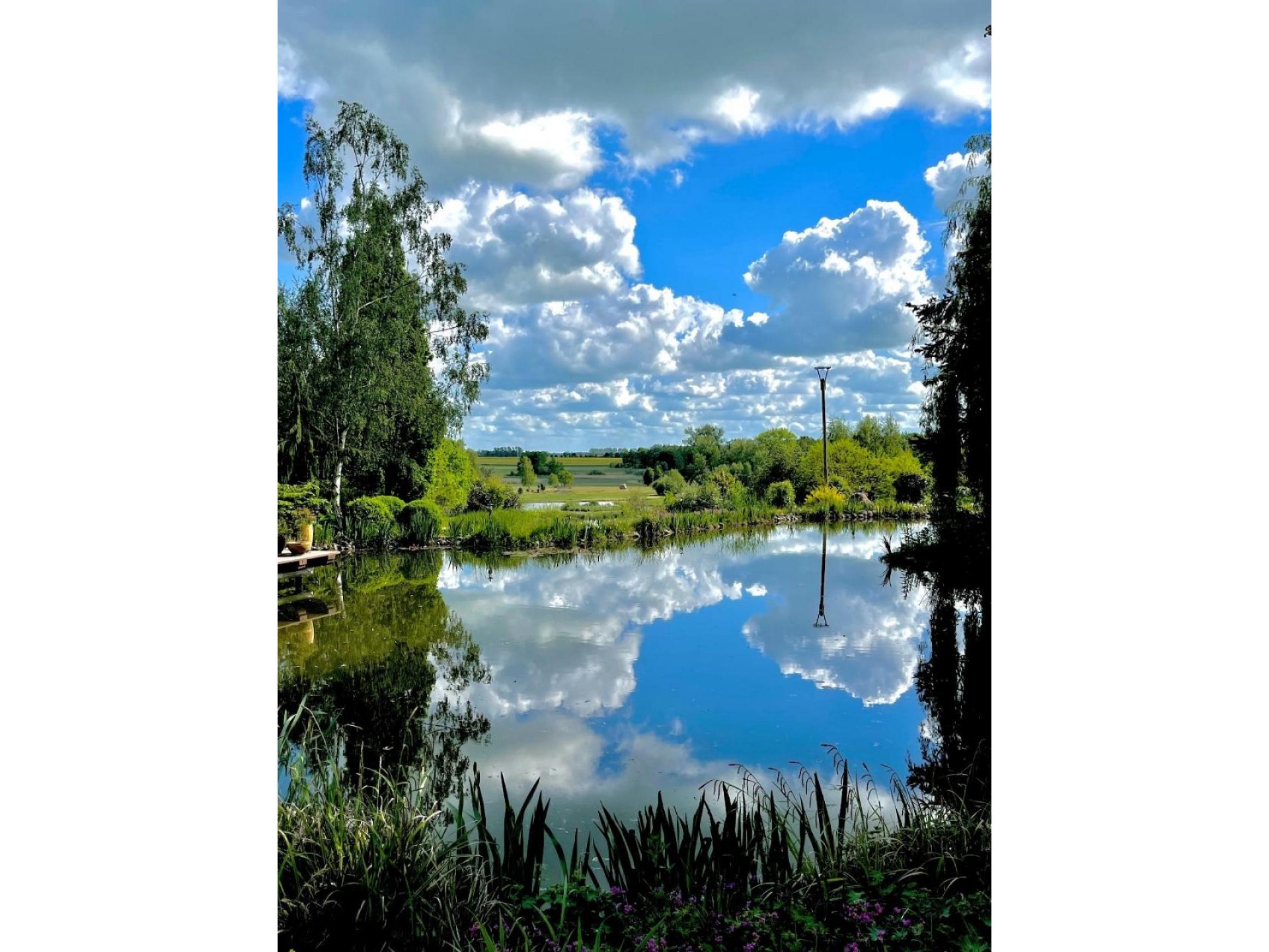 Taubenhaus Foto 15